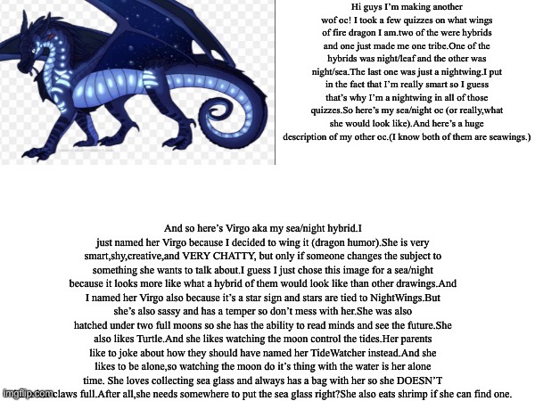 Virgo the Sea/Night hybrid | Hi guys I’m making another wof oc! I took a few quizzes on what wings of fire dragon I am.two of the were hybrids and one just made me one tribe.One of the hybrids was night/leaf and the other was night/sea.The last one was just a nightwing.I put in the fact that I’m really smart so I guess that’s why I’m a nightwing in all of those quizzes.So here’s my sea/night oc (or really,what she would look like).And here’s a huge description of my other oc.(I know both of them are seawings.); And so here’s Virgo aka my sea/night hybrid.I just named her Virgo because I decided to wing it (dragon humor).She is very smart,shy,creative,and VERY CHATTY, but only if someone changes the subject to something she wants to talk about.I guess I just chose this image for a sea/night because it looks more like what a hybrid of them would look like than other drawings.And I named her Virgo also because it’s a star sign and stars are tied to NightWings.But she’s also sassy and has a temper so don’t mess with her.She was also hatched under two full moons so she has the ability to read minds and see the future.She also likes Turtle.And she likes watching the moon control the tides.Her parents like to joke about how they should have named her TideWatcher instead.And she likes to be alone,so watching the moon do it’s thing with the water is her alone time. She loves collecting sea glass and always has a bag with her so she DOESN’T have her claws full.After all,she needs somewhere to put the sea glass right?She also eats shrimp if she can find one. | image tagged in wings of fire,original,character | made w/ Imgflip meme maker