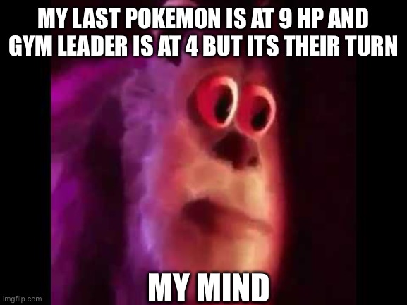 Sully Groan | MY LAST POKEMON IS AT 9 HP AND GYM LEADER IS AT 4 BUT ITS THEIR TURN; MY MIND | image tagged in sully groan | made w/ Imgflip meme maker