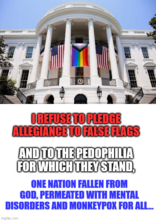 I REFUSE TO PLEDGE ALLEGIANCE TO FALSE FLAGS; AND TO THE PEDOPHILIA FOR WHICH THEY STAND, ONE NATION FALLEN FROM GOD, PERMEATED WITH MENTAL DISORDERS AND MONKEYPOX FOR ALL... | image tagged in blank white template | made w/ Imgflip meme maker