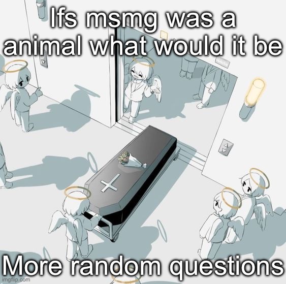 avogado6 | Ifs msmg was a animal what would it be; More random questions | image tagged in avogado6 | made w/ Imgflip meme maker