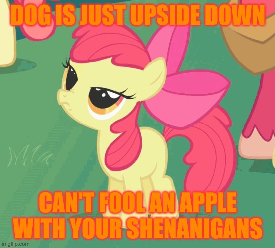 DOG IS JUST UPSIDE DOWN CAN'T FOOL AN APPLE WITH YOUR SHENANIGANS | image tagged in let me tell you why that's bullshit applebloom | made w/ Imgflip meme maker