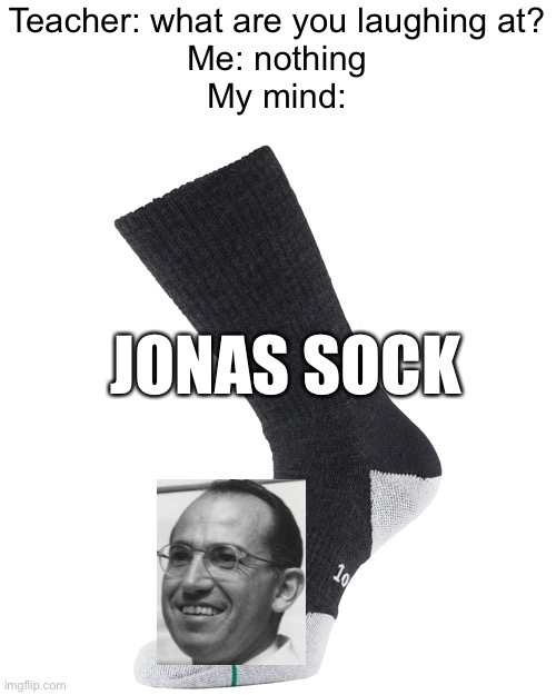 Meme #1,917 | Teacher: what are you laughing at?
Me: nothing
My mind:; JONAS SOCK | image tagged in memes,scientist,socks,school,teacher,funny | made w/ Imgflip meme maker