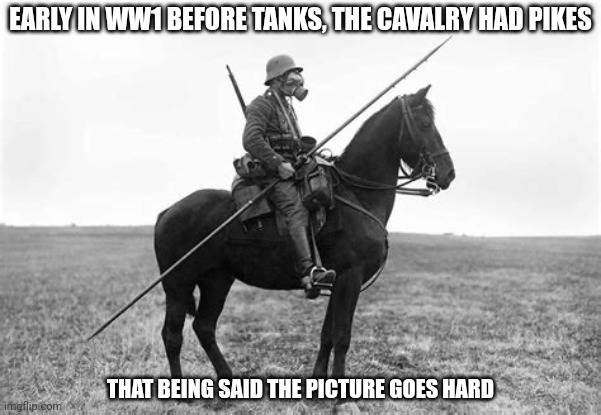 EARLY IN WW1 BEFORE TANKS, THE CAVALRY HAD PIKES; THAT BEING SAID THE PICTURE GOES HARD | image tagged in cavalry,ww1 | made w/ Imgflip meme maker