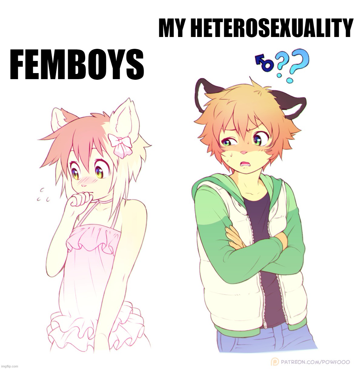 MY HETEROSEXUALITY; FEMBOYS | made w/ Imgflip meme maker