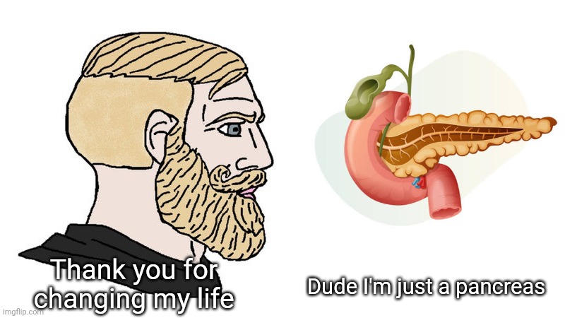 It's unusual that pancreas can change someone's life. | Thank you for changing my life; Dude I'm just a pancreas | image tagged in thank you for changing my life | made w/ Imgflip meme maker