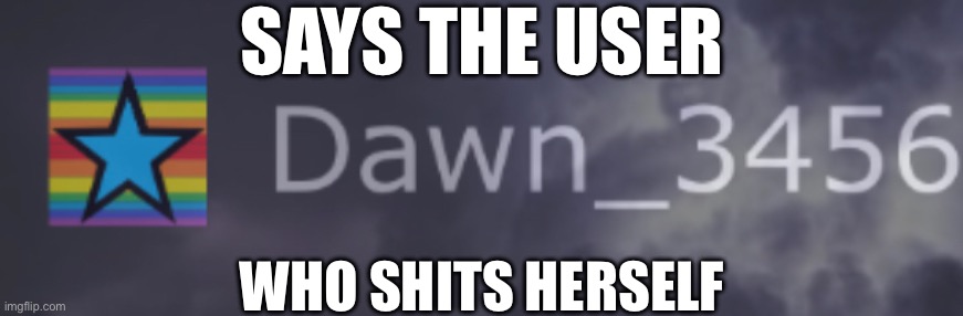 SAYS THE USER; WHO SHITS HERSELF | made w/ Imgflip meme maker