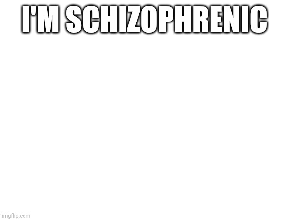 I'M SCHIZOPHRENIC | made w/ Imgflip meme maker