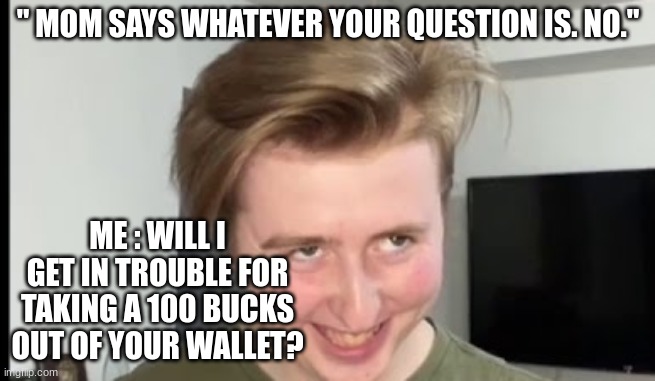 ? | " MOM SAYS WHATEVER YOUR QUESTION IS. NO."; ME : WILL I GET IN TROUBLE FOR TAKING A 100 BUCKS OUT OF YOUR WALLET? | image tagged in the face,meme | made w/ Imgflip meme maker