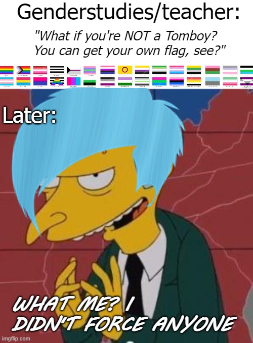 That's my little soldier. Down with the cis-normative white supremacist patriarchy! | Genderstudies/teacher:; "What if you're NOT a Tomboy? You can get your own flag, see?"; Later:; WHAT ME? I DIDN'T FORCE ANYONE | image tagged in mr burns excellent,gender identity,identity politics | made w/ Imgflip meme maker