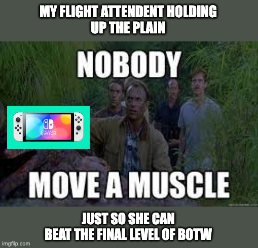 Yes this is a Ted Lasso Reference | MY FLIGHT ATTENDENT HOLDING
UP THE PLAIN; JUST SO SHE CAN
BEAT THE FINAL LEVEL OF BOTW | image tagged in memes,nintendo,the legend of zelda breath of the wild,botw,ted lasso | made w/ Imgflip meme maker