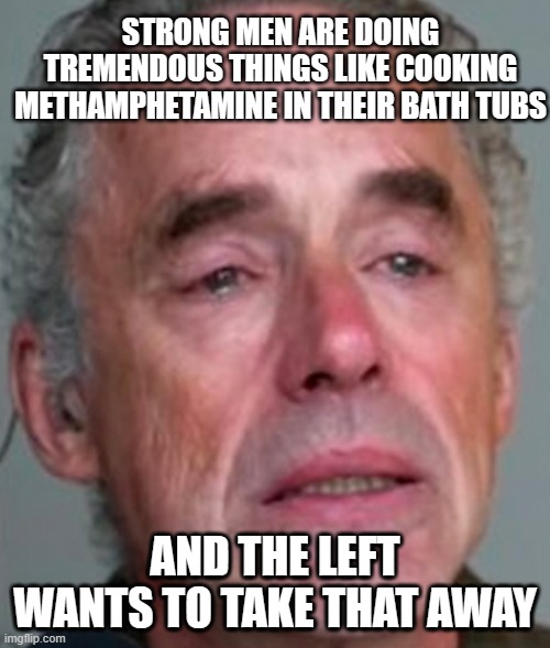 AND THE LEFT WANTS TO TAKE THAT AWAY | image tagged in strong men,jordan peterson | made w/ Imgflip meme maker