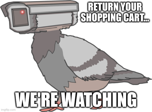 RETURN YOUR SHOPPING CART... WE'RE WATCHING | made w/ Imgflip meme maker