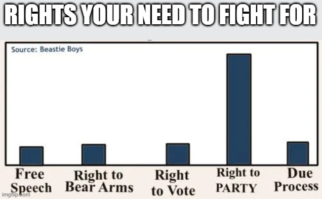 You Gotta Fight | RIGHTS YOUR NEED TO FIGHT FOR | image tagged in beastie boys | made w/ Imgflip meme maker