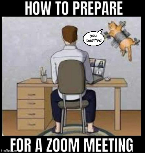 zoom this | you 
bast*rd | image tagged in memes,cat,cats,kitten,zoom meeting,work | made w/ Imgflip meme maker