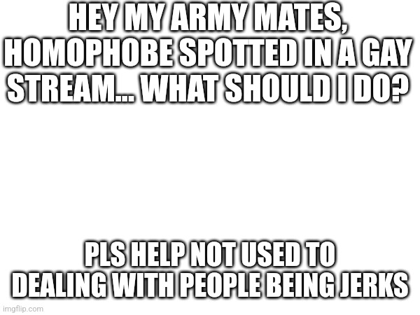 Help homophobe dont know what to do (SF: link please) | HEY MY ARMY MATES, HOMOPHOBE SPOTTED IN A GAY STREAM... WHAT SHOULD I DO? PLS HELP NOT USED TO DEALING WITH PEOPLE BEING JERKS | made w/ Imgflip meme maker