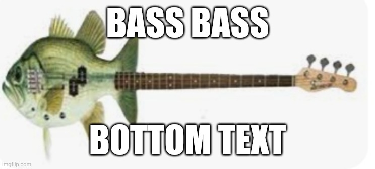 Bass Bass | BASS BASS; BOTTOM TEXT | image tagged in bass | made w/ Imgflip meme maker