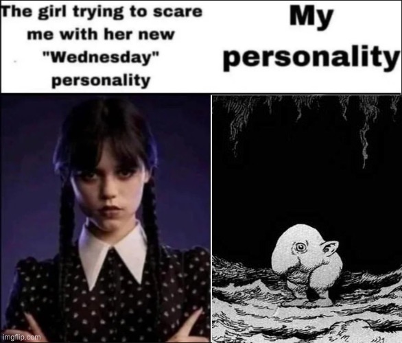 The girl trying to scare me with her new Wednesday personality | image tagged in the girl trying to scare me with her new wednesday personality | made w/ Imgflip meme maker