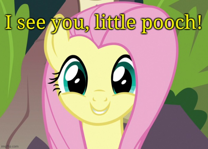 Shyabetes 2 (MLP) | I see you, little pooch! | image tagged in shyabetes 2 mlp | made w/ Imgflip meme maker