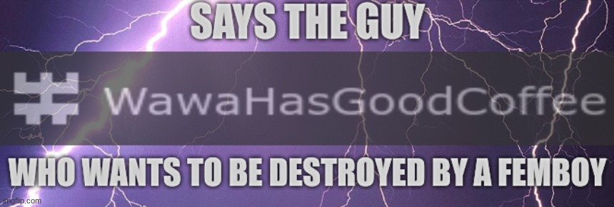 says the guy who wants to be destroyed by a femboy | image tagged in says the guy who wants to be destroyed by a femboy | made w/ Imgflip meme maker