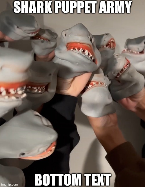 Shark Puppet Army | SHARK PUPPET ARMY; BOTTOM TEXT | image tagged in shark puppet army | made w/ Imgflip meme maker