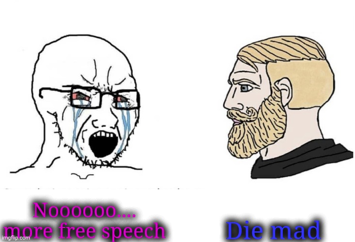 Soyboy Vs Yes Chad | Noooooo.... more free speech Die mad | image tagged in soyboy vs yes chad | made w/ Imgflip meme maker