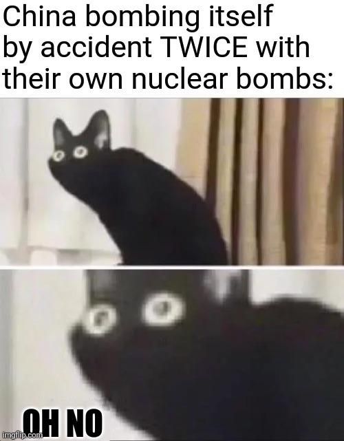 Oh No Black Cat | China bombing itself by accident TWICE with their own nuclear bombs: OH NO | image tagged in oh no black cat | made w/ Imgflip meme maker