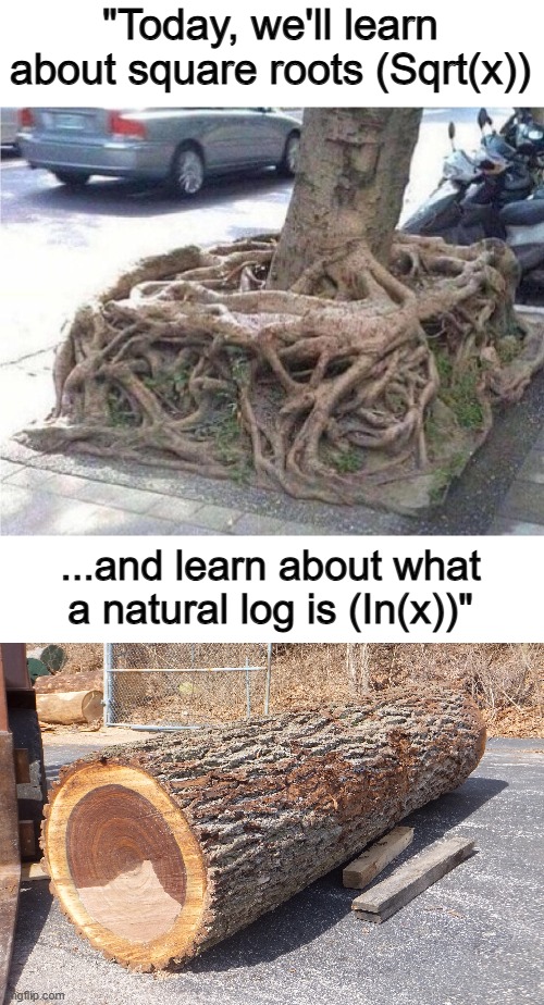 This ones pretty good ;) | "Today, we'll learn about square roots (Sqrt(x)); ...and learn about what a natural log is (In(x))" | made w/ Imgflip meme maker