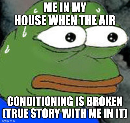 Sweat Pepe | ME IN MY HOUSE WHEN THE AIR; CONDITIONING IS BROKEN (TRUE STORY WITH ME IN IT) | image tagged in sweat pepe | made w/ Imgflip meme maker