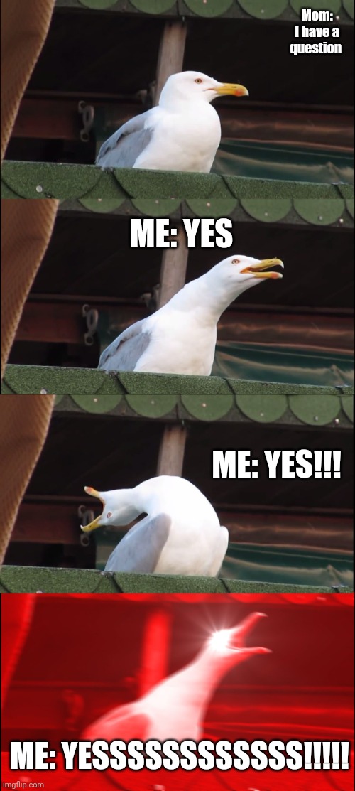 My mom in the other room | Mom: I have a question; ME: YES; ME: YES!!! ME: YESSSSSSSSSSSS!!!!! | image tagged in memes,inhaling seagull | made w/ Imgflip meme maker