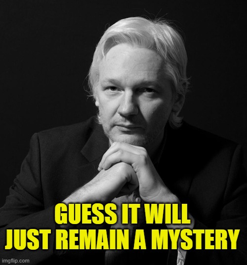 Julian Assange Nike | GUESS IT WILL JUST REMAIN A MYSTERY | image tagged in julian assange nike | made w/ Imgflip meme maker
