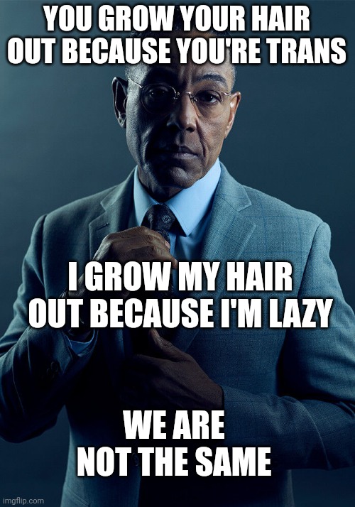 Got an idea. | YOU GROW YOUR HAIR OUT BECAUSE YOU'RE TRANS; I GROW MY HAIR OUT BECAUSE I'M LAZY; WE ARE NOT THE SAME | image tagged in gus fring we are not the same | made w/ Imgflip meme maker