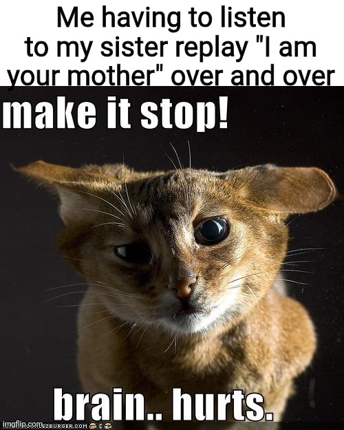 I'm sick of the same thing over and over again..... | Me having to listen to my sister replay "I am your mother" over and over | image tagged in make it stop brain hurts | made w/ Imgflip meme maker