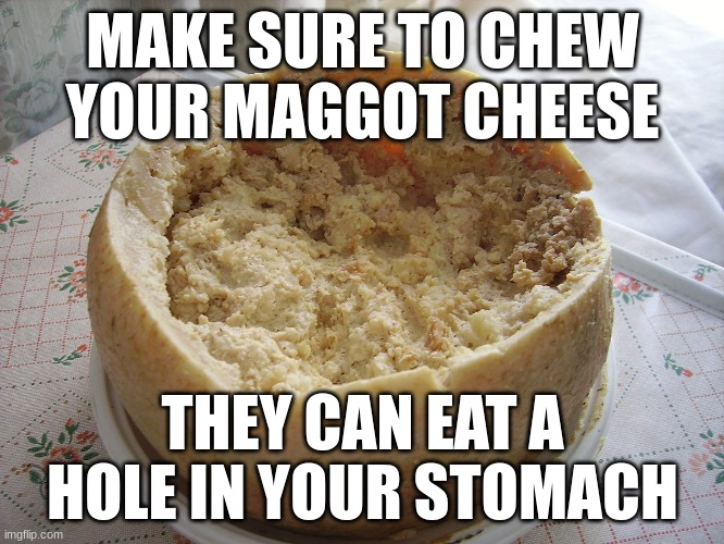 MAKE SURE TO CHEW YOUR MAGGOT CHEESE; THEY CAN EAT A HOLE IN YOUR STOMACH | made w/ Imgflip meme maker