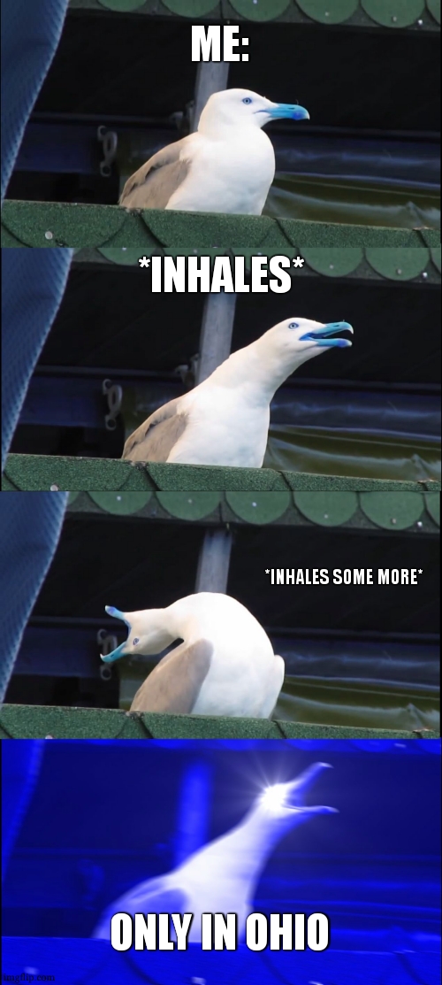Inhaling Seagull Meme | ME: *INHALES* *INHALES SOME MORE* ONLY IN OHIO | image tagged in memes,inhaling seagull | made w/ Imgflip meme maker