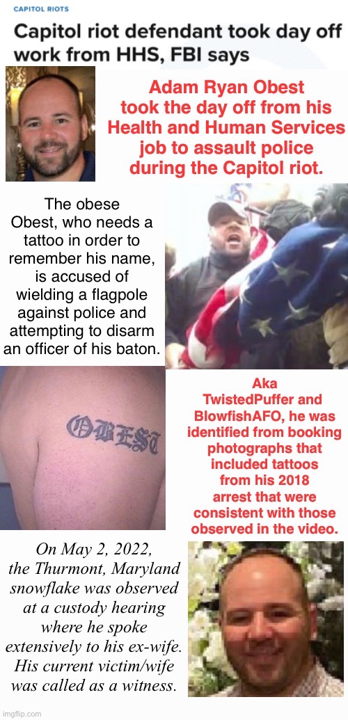 Blowfish Puffer Skives Off Job | image tagged in domestic terrorist,assault,booking tatts,hat toupee,treason,hooky pokey | made w/ Imgflip meme maker