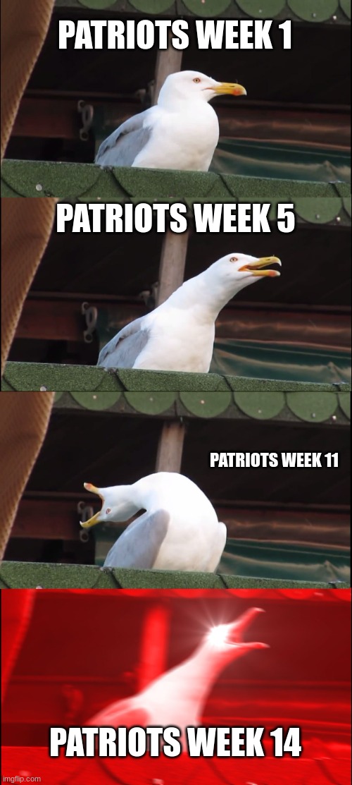 Patriots Season | PATRIOTS WEEK 1; PATRIOTS WEEK 5; PATRIOTS WEEK 11; PATRIOTS WEEK 14 | image tagged in memes,inhaling seagull | made w/ Imgflip meme maker