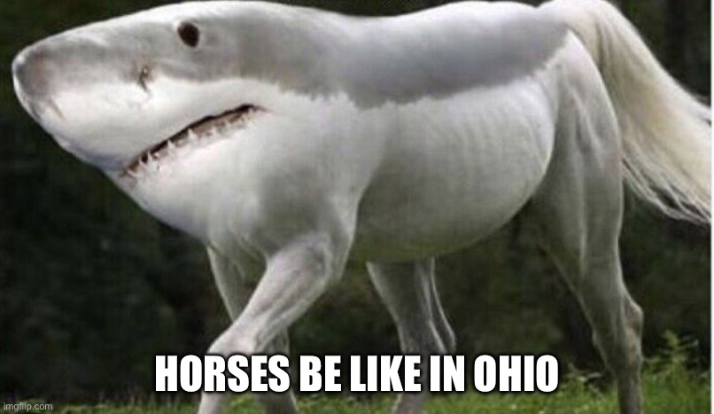 HORSES BE LIKE IN OHIO | made w/ Imgflip meme maker