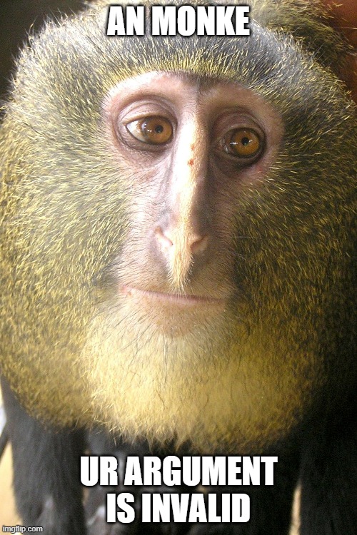 AN MONKE; UR ARGUMENT IS INVALID | image tagged in monkey | made w/ Imgflip meme maker