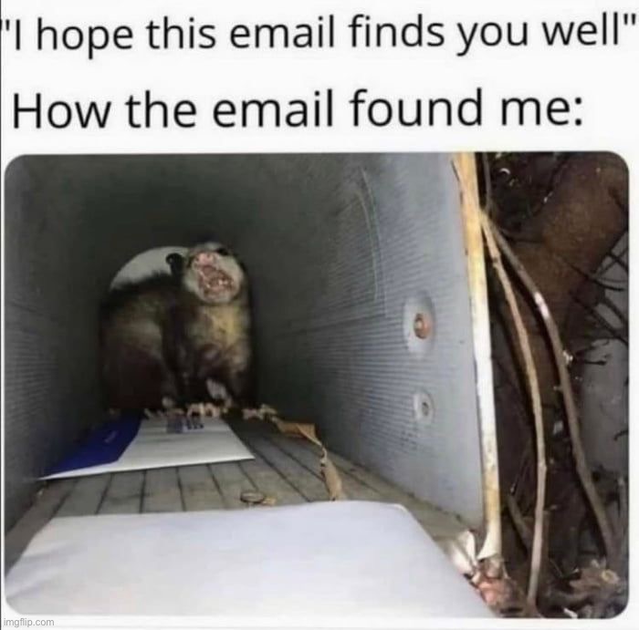 image tagged in memes,funny | made w/ Imgflip meme maker