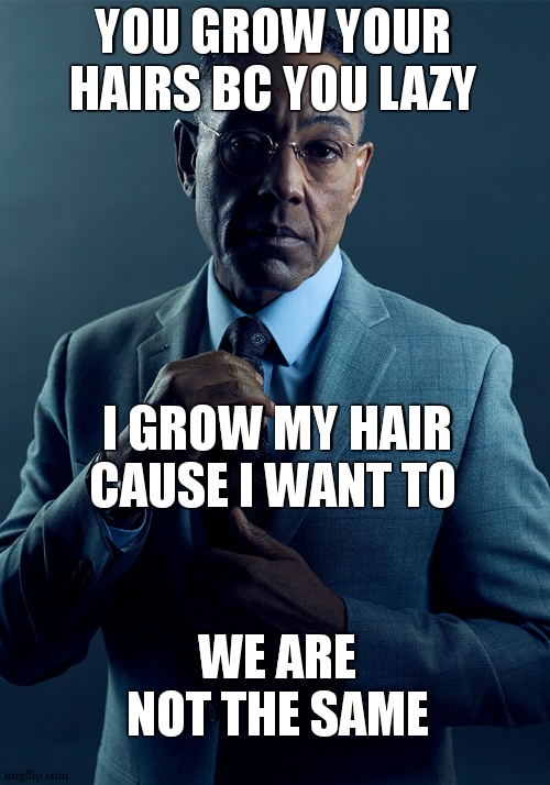 Gus Fring we are not the same | YOU GROW YOUR HAIRS BC YOU LAZY I GROW MY HAIR CAUSE I WANT TO WE ARE NOT THE SAME | image tagged in gus fring we are not the same | made w/ Imgflip meme maker