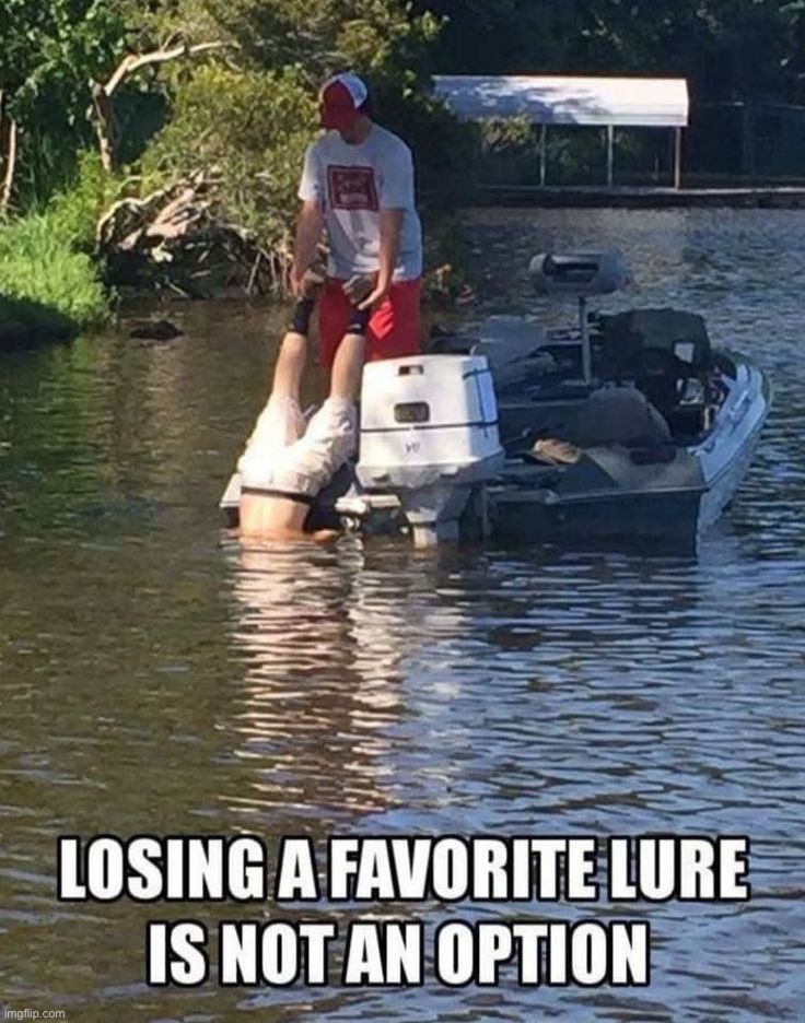 Image tagged in memes,funny,fishing - Imgflip