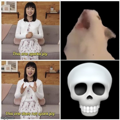 MEOW- | image tagged in cat,skull | made w/ Imgflip meme maker