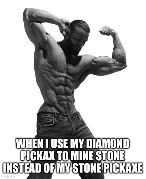 WHEN I USE MY DIAMOND PICKAX TO MINE STONE INSTEAD OF MY STONE PICKAXE | made w/ Imgflip meme maker