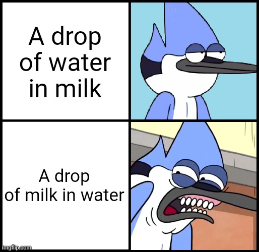 Mem | A drop of water in milk; A drop of milk in water | image tagged in mordecai disgusted | made w/ Imgflip meme maker