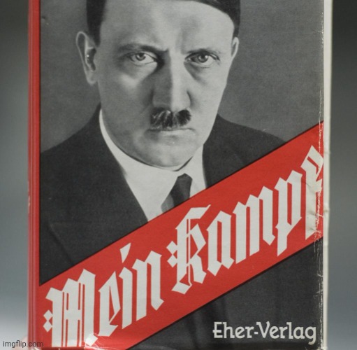 Mein Kampf | image tagged in mein kampf | made w/ Imgflip meme maker