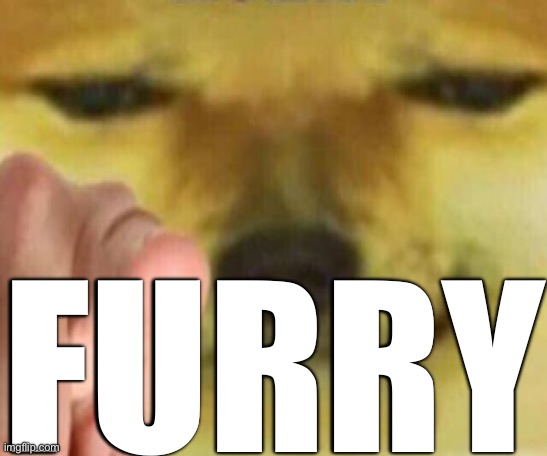 Pointing Doge | FURRY | image tagged in pointing doge | made w/ Imgflip meme maker