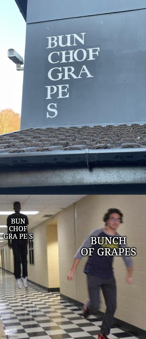 Bunch of grapes | BUN CHOF GRA PE S; BUNCH OF GRAPES | image tagged in floating boy chasing running boy,grapes,building,you had one job,memes,crappy design | made w/ Imgflip meme maker