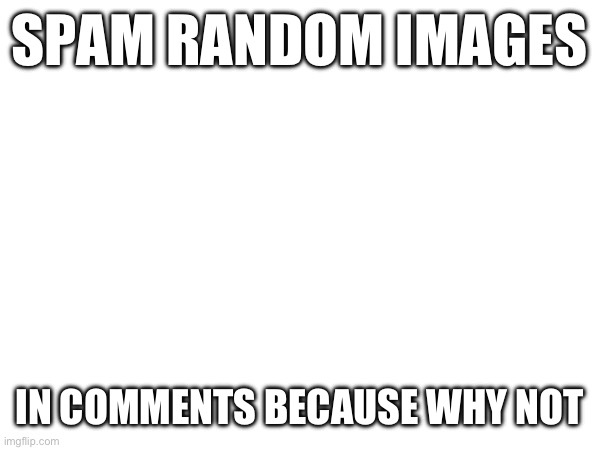 SPAM RANDOM IMAGES; IN COMMENTS BECAUSE WHY NOT | made w/ Imgflip meme maker