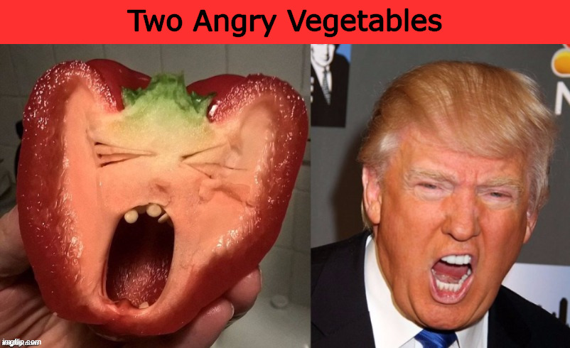 Two Angry Vegetables | image tagged in angry vegetables,vegetables,vegetable,donald trump,trump,memes | made w/ Imgflip meme maker