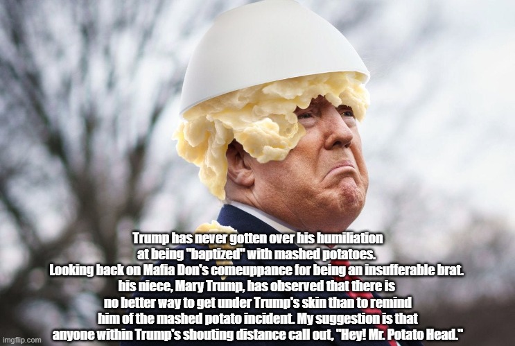 Donald Trump As Mr. Potato Head | Trump has never gotten over his humiliation at being "baptized" with mashed potatoes. 
Looking back on Mafia Don's comeuppance for being an insufferable brat. 
his niece, Mary Trump, has observed that there is 
no better way to get under Trump's skin than to remind him of the mashed potato incident. My suggestion is that anyone within Trump's shouting distance call out, "Hey! Mr. Potato Head." | image tagged in trump,mr potato head,the one think satan can't stand is ridicule,get under trumpp's skin | made w/ Imgflip meme maker